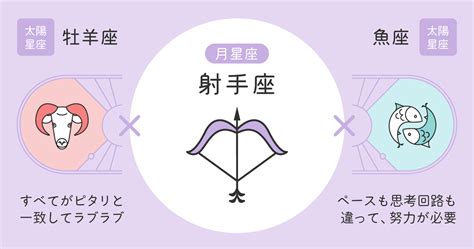 いて座（射手座）の性格や恋愛傾向や各星座との相性は？嫌いな。